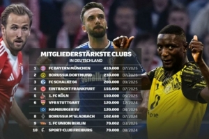 德國俱樂部注冊會員數(shù)量榜：拜仁41萬居首，多特、沙爾克二三位