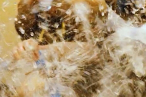 成功拿下總冠軍后，大家在更衣室用一場特別的狂歡慶祝榮耀時刻！