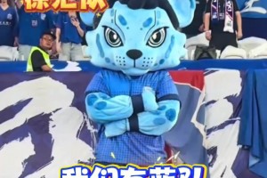 蘇超聯(lián)賽爆火后，網(wǎng)友暢想上海版“滬超” ,“沒有假球,全是世仇!”